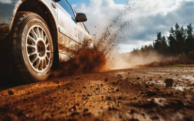 Sponsor Rally del Grappolo